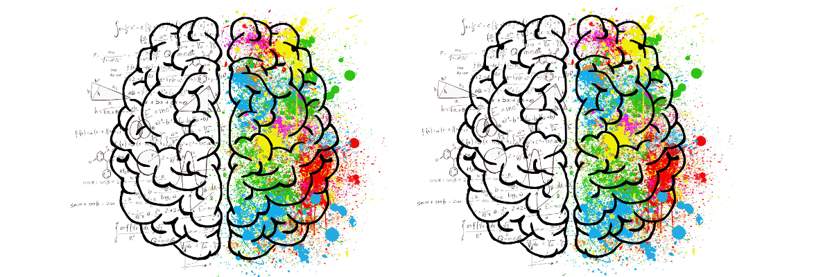 Gute Nachrichten: KI wird nur unsere linke Gehirnhälfte übernehmen